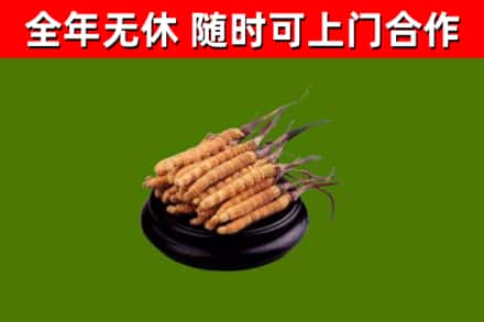 奉节县烟酒回收冬虫夏草.jpg